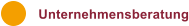 Unternehmensberatung